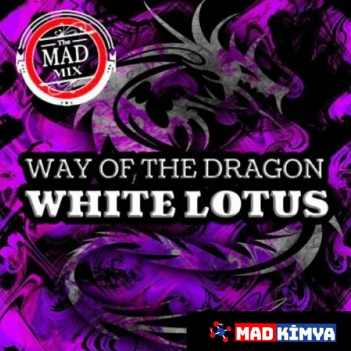 Way Of The Dragon White Lotus